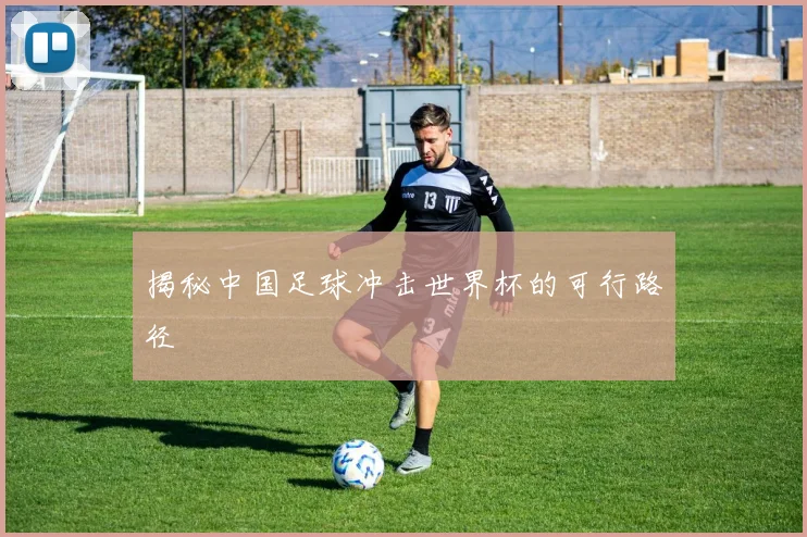 揭秘中国足球冲击世界杯的可行路径