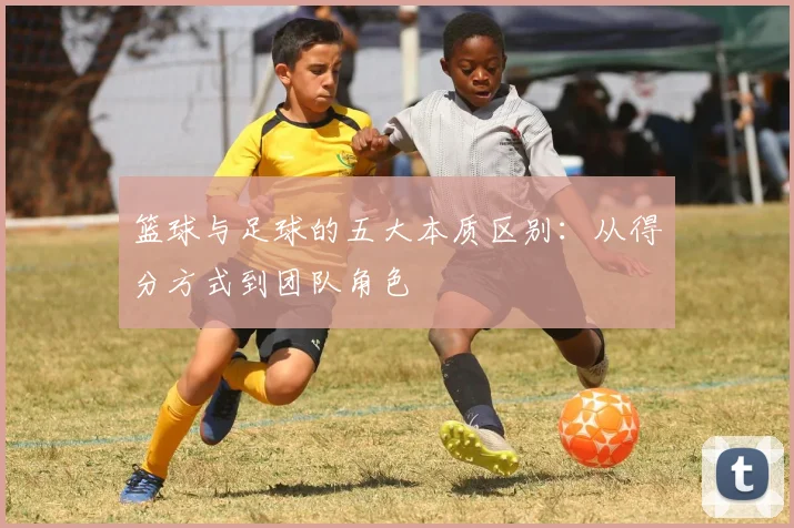 篮球与足球的五大本质区别:从得分方式到团队角色